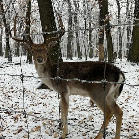 Granas Paradise * Gant