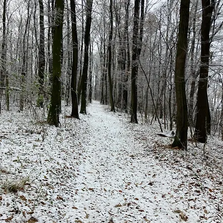 Granas Paradise * Gant