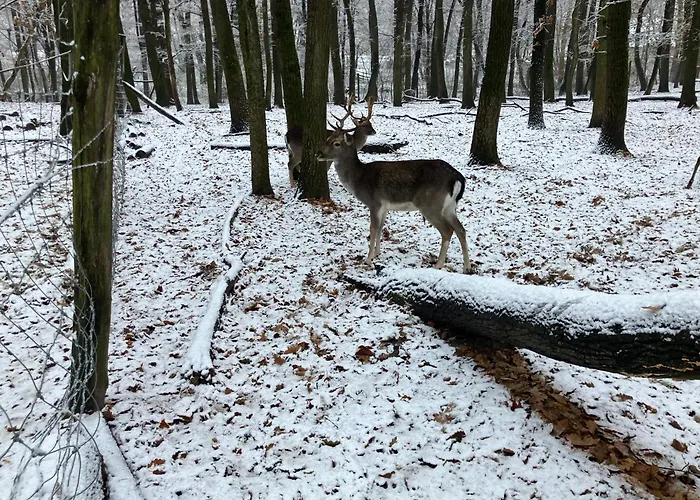 Granas Paradise * Gant