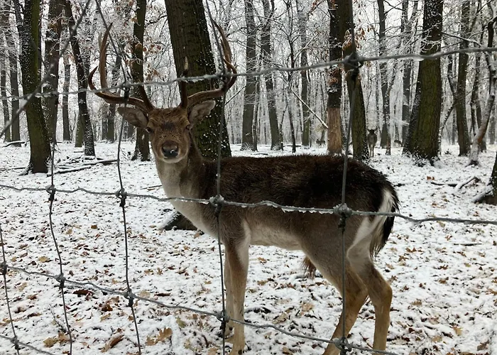 Granas Paradise * Gant