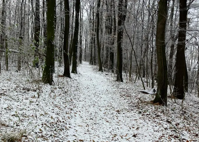 Granas Paradise * Gant